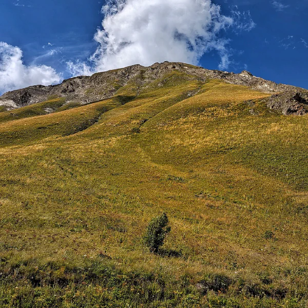 Parc des Ecrines, France