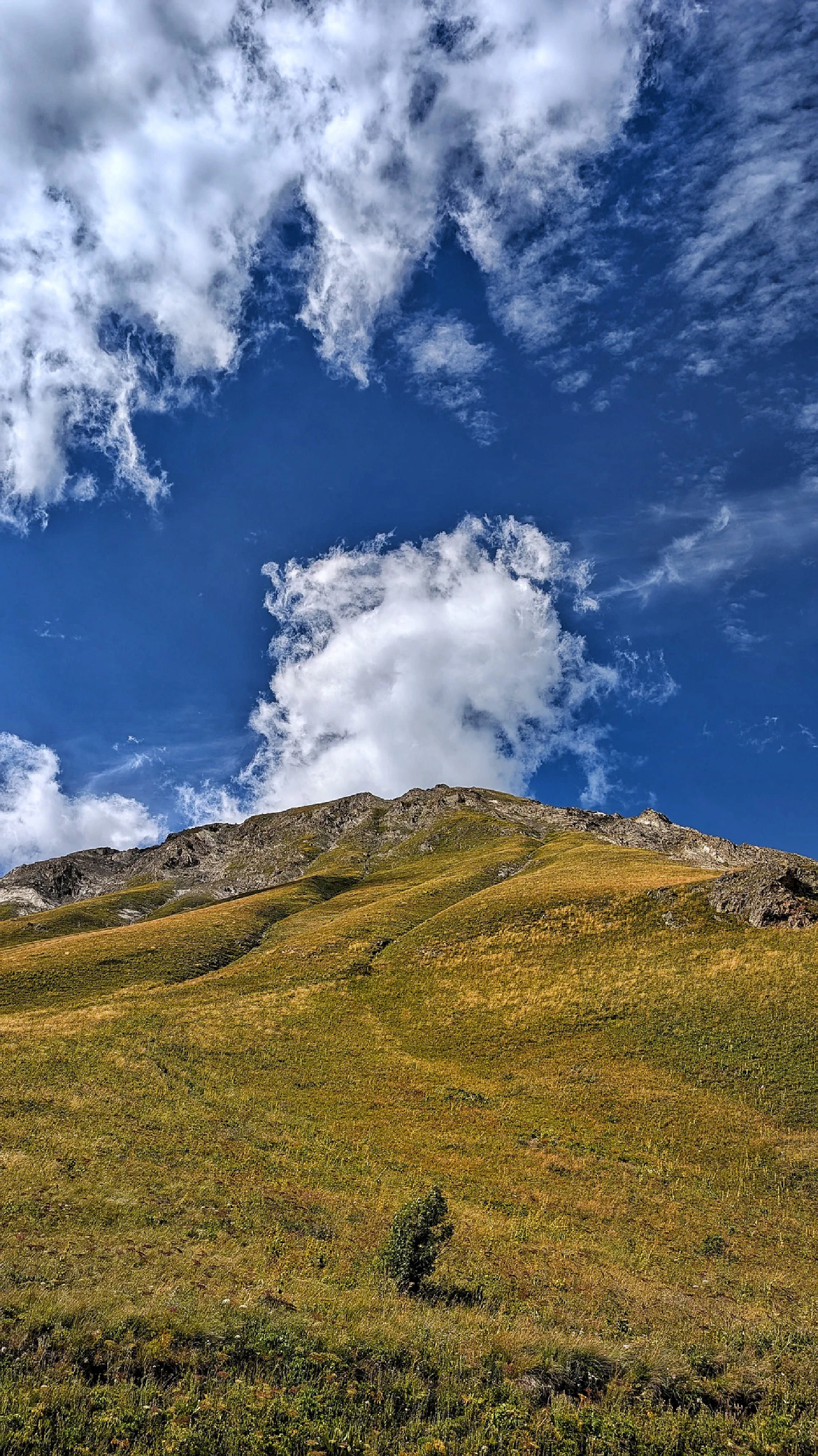 Parc des Ecrines, France