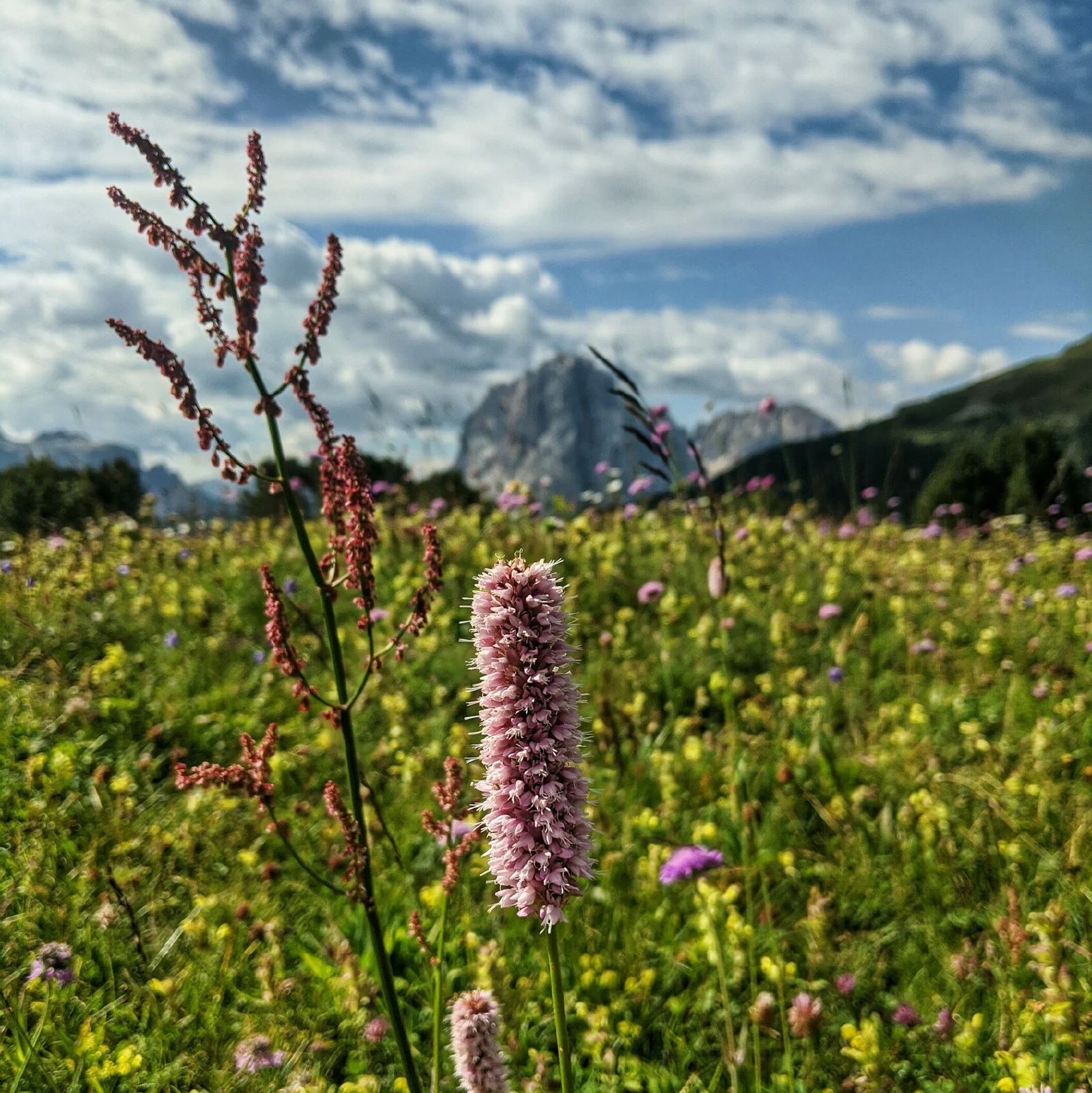 Sassolungo, Dolomites, Italy