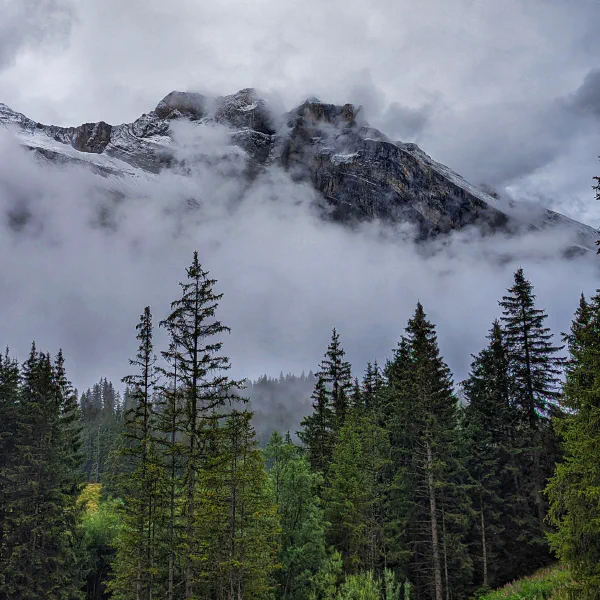 Grindelwald, Switzerland